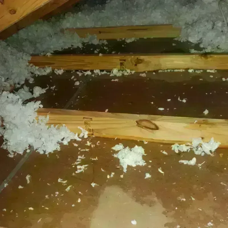 Attic Water Damage in Shelbina, MO